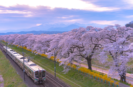 【宮城県】震災から5年で外国人宿泊数が回復した理由とは？残る「風評対策」「観光資源見直し」「住民の意識改革」の課題