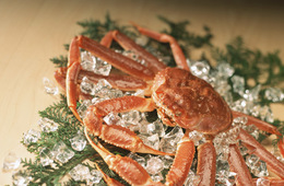 【JTB・9月人気ツアーランキング】中国人「大阪・かに道楽」はじめ食に関心＆フィリピン人に人気「白川郷」