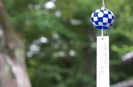 シブめのクールジャパン？国際的に知られる「俳句」文化が無形文化遺産に推す動き 早ければ2019年に登録