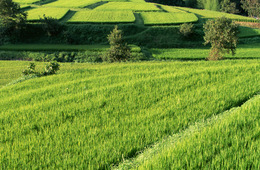 DBJ「2019東北インバウンド意向調査（速報版）」東北の認知度は横ばい、再訪希望率は上昇するも課題も