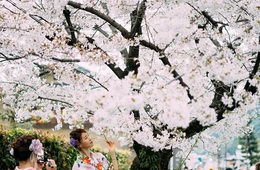 訪日外国人を歓迎できないのはどの世代？欠かせない「食」「宿泊」発想転換で商機をつかんだラブホテル【JTB調査レポート2019】