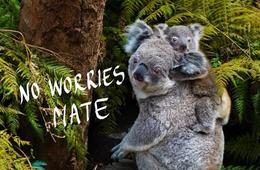 JTBが「オーストラリア人目線」を理解するレポートを発表、インバウンド豪州市場攻略のためのヒントに