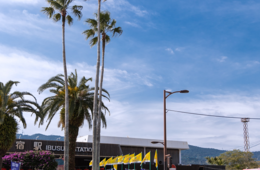 鹿児島県のインバウンド対策｜外国人観光客の現状・県による取り組み・観光地における事例