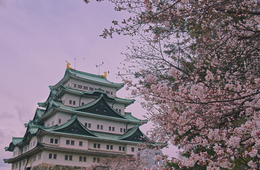 愛知県のホストタウンは？地域活性化につなげる取り組みを紹介：事前キャンプ・ホームステイで国際交流など