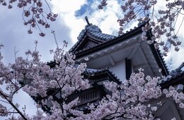 金沢市、フランスの水泳金メダリストと合同練習&加賀友禅を体験：石川県ホストタウン、大会後も遺る「レガシー」創出する取り組みとは