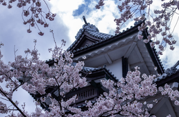 金沢市、フランスの水泳金メダリストと合同練習&加賀友禅を体験：石川県ホストタウン、大会後も遺る「レガシー」創出する取り組みとは