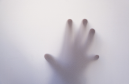 【新型コロナウイルス】武漢発のチャーター第三便着に「感染者は隔離しろ」「いやハンセン病の差別に学べ」SNSで様々な反応：ワクチン開発促進で終息はできるのか？