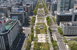 2030年の冬季オリンピックは「札幌」に？各国消極的な中、候補地決定：市民の意見は賛否分かれる