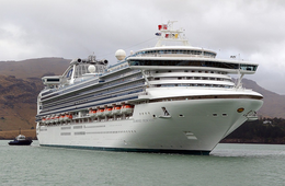 【乗船者インタビュー】ダイヤモンド・プリンセス号隔離措置に乗客は何を感じた？今こそ振り返る緊急対応の心得