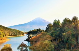 【観光庁速報：主要旅行業者の旅行取扱状況】令和2年1月総取扱額は2,887億円、外国人旅行は春節の影響121％増に