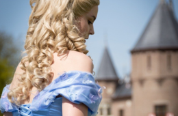 アメリカ、フランスのディズニーも続々閉鎖！上海・香港・東京ディズニーのイマは？