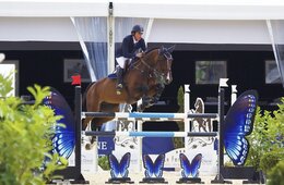 オリンピック「馬術競技」の概要・競技日程を解説：会場は世田谷区・馬事公苑、江東区・海の森クロスカントリーコース