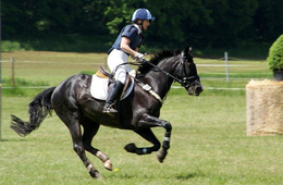 パラリンピック「馬術」の競技日程・会場・見どころを解説：試合は夕方〜夜になる可能性