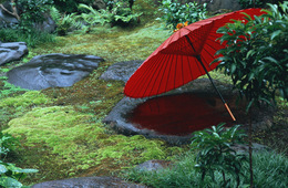 2月の京都観光、外国人延べ宿泊数が半減 新型コロナが影響／京都市観光協会、調査データ発表
