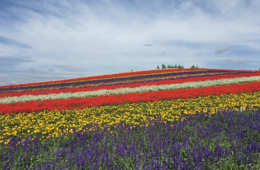 私有地に無断立ち入りする外国人、不法侵入にならない？観光公害の背景に常識の違い、北欧の「自然享受権」という考え方