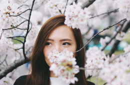 2020年3月 訪日客数93%減、コロナショック直撃で256万人減少【グラフで見るインバウンド】 