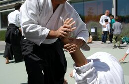 合気道に対する外国人の反応、格闘技をインバウンドに活かす取り組み・武道ツーリズムとは【海外の反応】