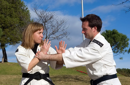 実は日本発祥「少林寺拳法」に外国人が注目！京都、トリップアドバイザー1位の旅館が2号店で体験サービスを検討・ 香川で発祥の地めぐりツアーなど