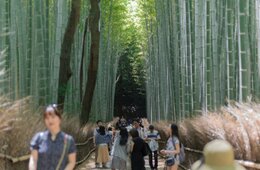 日本旅行業協会「旅行業における新型コロナウイルス対応ガイドライン」を発表：これからの旅行の形とは
