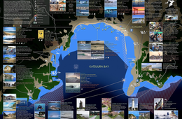 訪日外国人500人を集客、千葉県勝浦市「サーファー向けマップ」のすごさ：ハワイやバリ島に負けぬ環境、夏の一大観光コンテンツに？