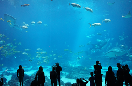 コロナ休園で動物園がクラウドファンディングで3,500万円調達、ユニークな返礼品が話題に