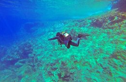 スキューバ×インバウンドの可能性 | 2023年に世界55兆円の市場規模「コト消費」トレンドが追い風に