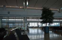 訪日韓国人観光客に特徴的な性格と特性：儒教思想と愛国心を理解しよう