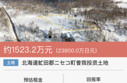 中国人が使う日本不動産購入アプリ「神居秒算」富裕層の投資需要・ニセコや沖縄も訪問不要で売買成立