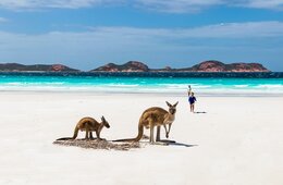 オーストラリア、7月にもNZと国境封鎖解除か：「1,500円航空券」販売セールも【世界のウィズコロナ 】