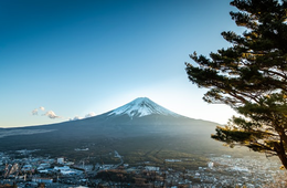 今できるインバウンド対策は「あえて国内」観光業が注力すべき4つの施策とは？