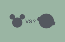 ディズニーが750億円の大改装開始！外国人の割合を高め、打倒USJ？ インバウンド視点から分析