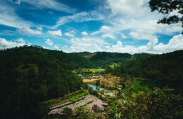 コロナ禍で「農泊」人気に：若年層の7割「興味あり」・外国人向け取り組み事例も