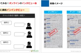 【9/24(木)開催・定員50名】中国市場セミナー第3弾：中国人にその場でインタビュー！オンライン調査が体験できる無料ウェビナー/高価格商品・家電編 [PR]