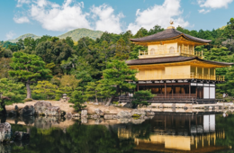 【国内初】市民や観光客がコロナ対策を評価・応援するプロジェクト始動｜京都市観光協会×Syno Japan「きょうの安心・明日の笑顔～新型コロナウイルス感染症対策・応援プロジェクト～」