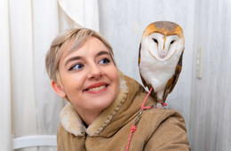 外国人に大人気「アキバフクロウ」に実際に行ってわかった、「体験」へのこだわりとインバウンド対策の秘訣とは