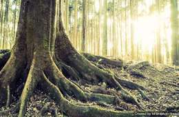 「過疎地域」を観光資源としてPR！徳島県の新たな観光地域づくり／観光資源とは「あるもの」ではなく「つくるもの」であることがよく分かる事例集その3