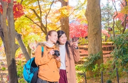 ガーデンツーリズムとは？事例、国交省創設の登録制度・登録の流れを解説