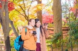 ガーデンツーリズムとは？事例、国交省創設の登録制度・登録の流れを解説