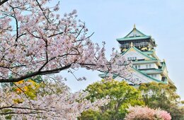 富裕層が求める「本物の体験」とは？観光庁「世界レベル」のホテル誘致・整備に動く