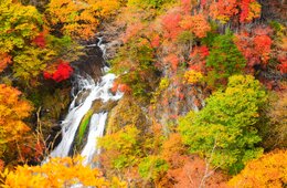 台湾人8,000人に聞いた「人気の都道府県」ランキング 1位は北海道、最下位は...：結果に対するネットの反応に、代表がコメント
