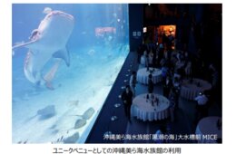 JNTO、訪日インセンティブ旅行のベストプラクティス3件を発表 大賞はドイツ：「JAPAN Best Incentive Travel Awards 2020」