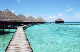 海外旅行再開意欲と感染状況は相関せず：Withコロナの訪日旅行需要はどう変わる 日本政府観光局調査