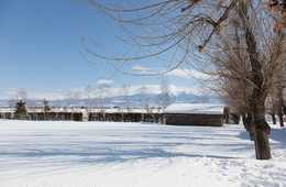 雪でテンションアップ！訪日タイ人観光客にも日本でのスキー・スノボは魅力