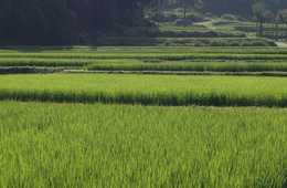 新潟市でも特区民泊スタートへ！ 食、自然を活かした「ガストロノミー・ツーリズム」の推進を目指して