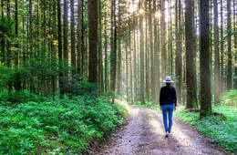 アメリカ人の5人に1人が当てはまる「SBNR」とは？日本文化が興味の中心に・インバウンドへの活用事例も紹介