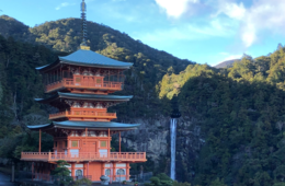 和歌山「持続可能な観光地」で1位に 世界的ガイドブック 読者投票にて 外国人に評価されるその理由とは