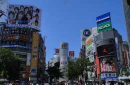 訪日タイ人観光客の買い物場所はどこ？：お土産への期待度が高く、繁華街での街歩きを楽しみにする人も