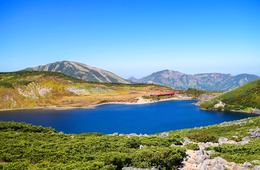 コロナ禍で「5時間待ち」白馬・岩岳の超人気コンテンツの裏側-日本のスノーリゾートの次の打ち手とは