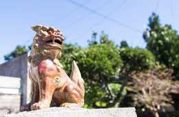 2018年夏 沖縄・鹿児島で新たな世界自然遺産が誕生!? 多彩な生態系を持つ琉球列島がユネスコに推薦