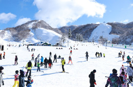 「グランスノー奥伊吹」の活用を事業に含む米原市、観光庁から地域選定